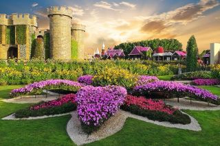 Reportage Tower Amenities - Green belt parks